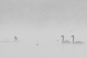 silenci, 1px