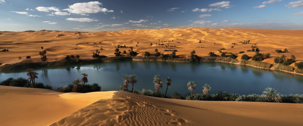 oasis-in-the-libyan-desert