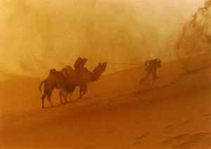 Desertification, Inner Mongolia