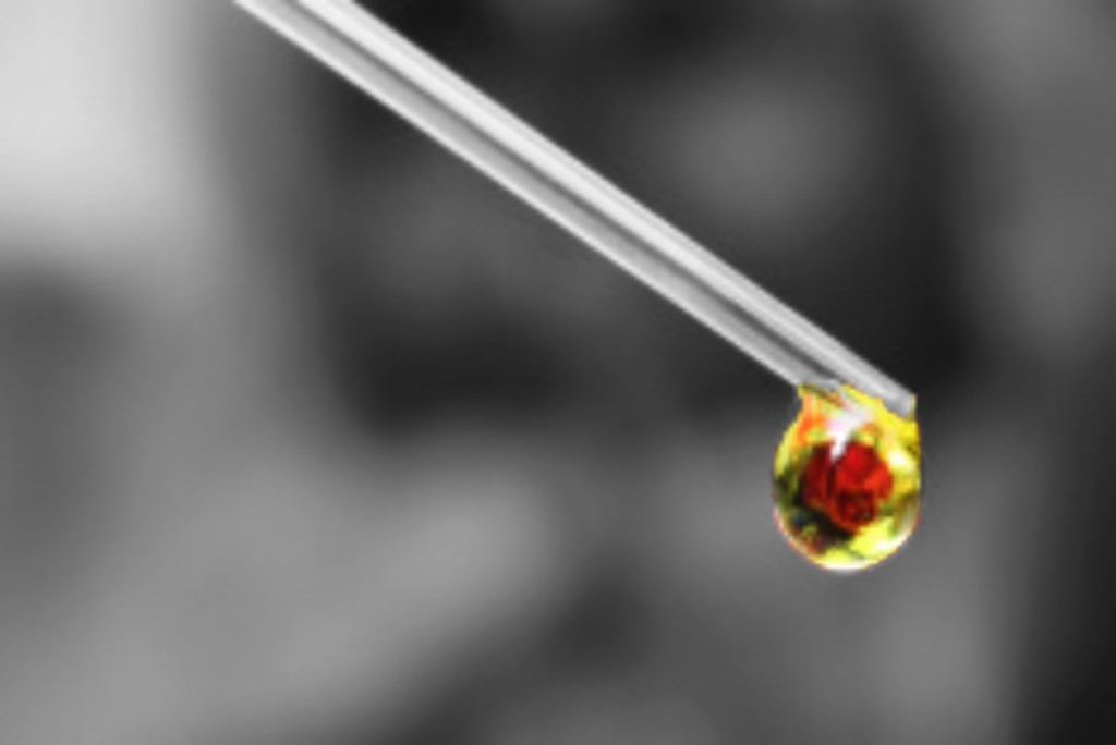 essencia_bn_gota